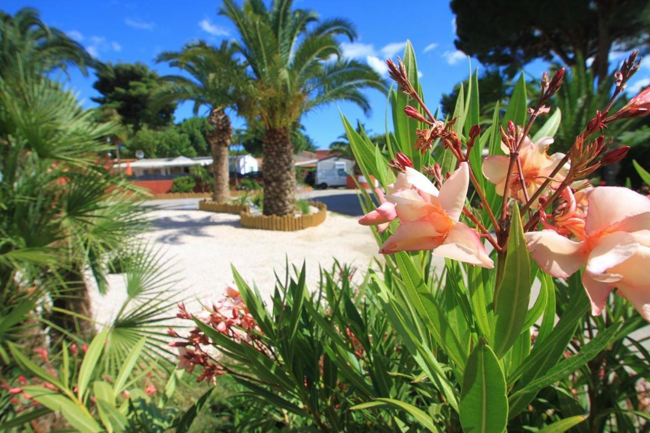 Camping Del Mar 10, Mobil Home Petit Paradis, 6 Personnes, Bord De Mer, Camping Del Mar Village 滨海阿热莱斯 外观 照片